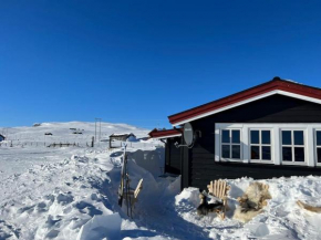 Seterhytte i Havsdalen